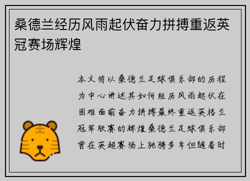 桑德兰经历风雨起伏奋力拼搏重返英冠赛场辉煌